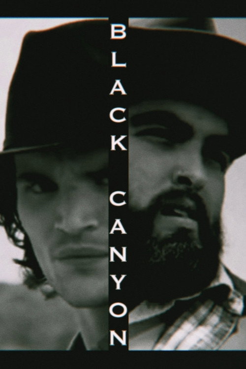 Movie poster for Black Canyon (2023)