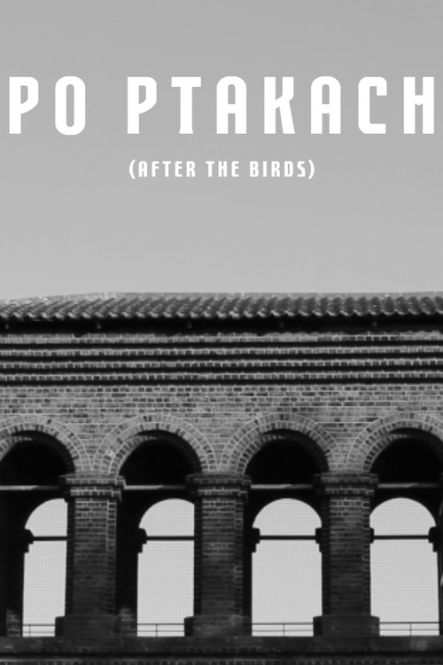 Movie poster for After The Birds (2019)