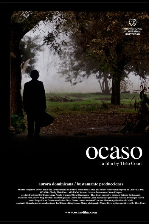 Movie poster for Ocaso (2010)