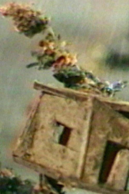 Movie poster for The Hundred Videos #4 (1996)