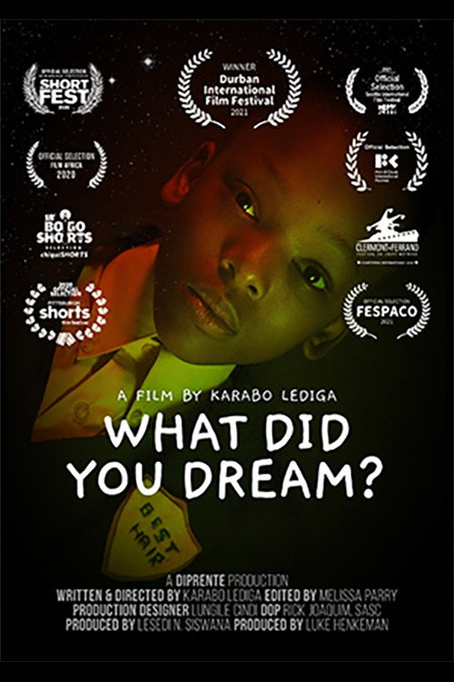 Movie poster for What Did You Dream? (2020)