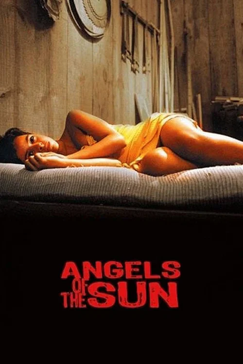 Movie poster for Angels of the Sun (2006)