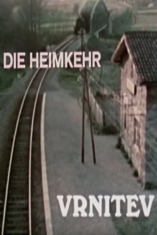 Movie poster for The Return (1976)