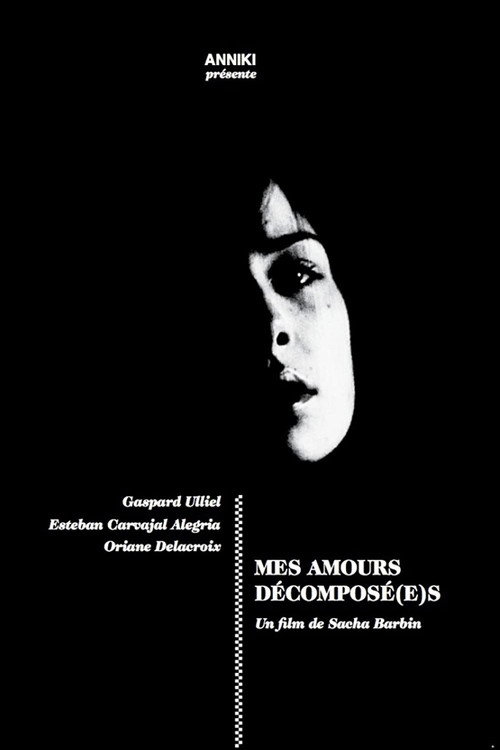 Movie poster for Mes amours décomposé(s) (2012)