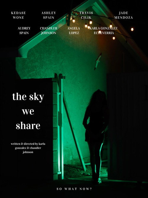 Movie poster for The Sky We Share (2024)