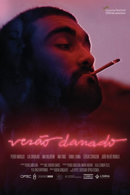 Movie poster for Damned Summer (2017)