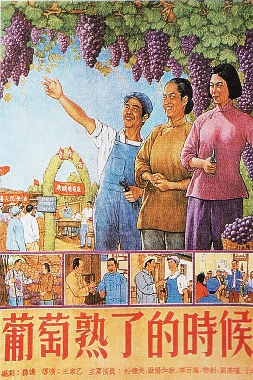 Movie poster for When Grapes Are Ripe (1953)