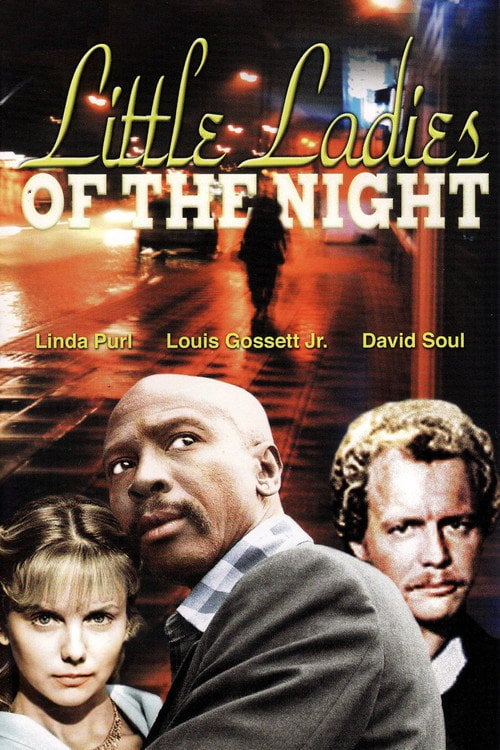 Movie poster for Little Ladies of the Night (1977)
