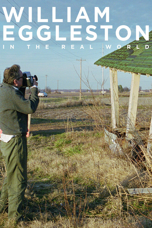 Movie poster for William Eggleston in the Real World (2005)