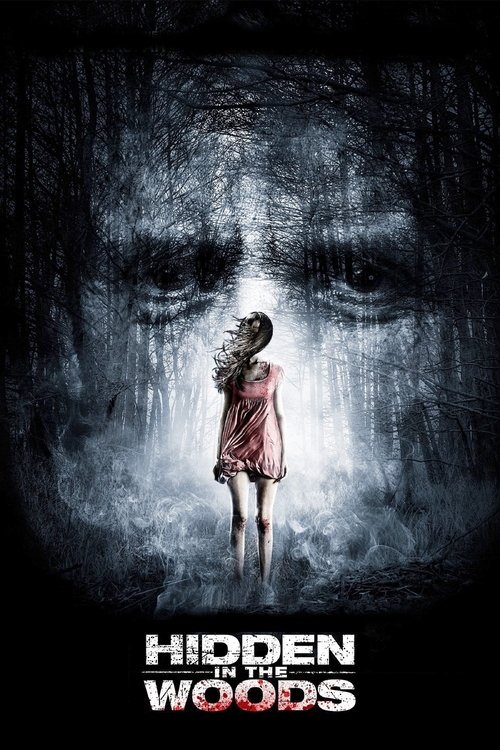 Movie poster for Hidden in the Woods (2014)