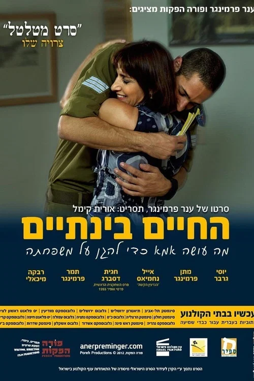Movie poster for Present Continuous