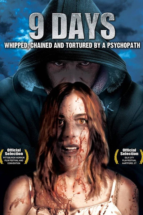 Movie poster for 9 Days (2013)