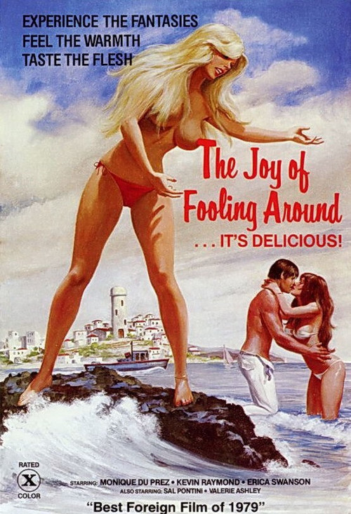 Movie poster for The Joy of Fooling Around (1978)