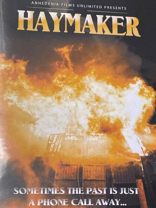 Movie poster for Haymaker (2022)