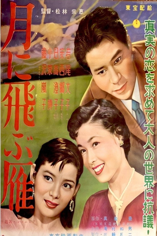 Movie poster for Farewell, Innocence (1955)