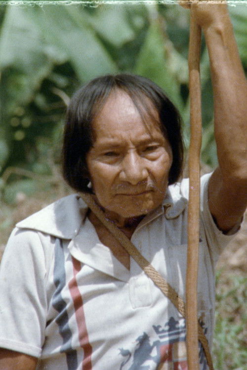 En la tierra de los Awuajunti poster