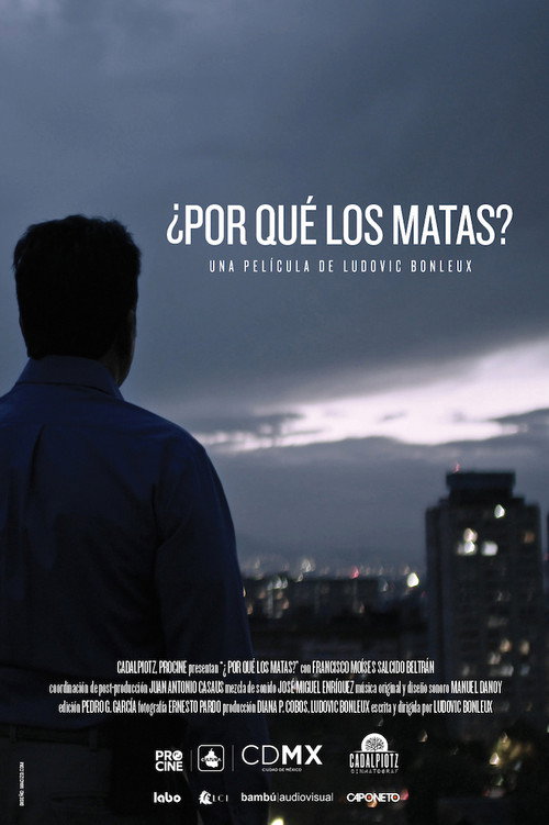 Movie poster for Why Do You Kill Them? (2018)
