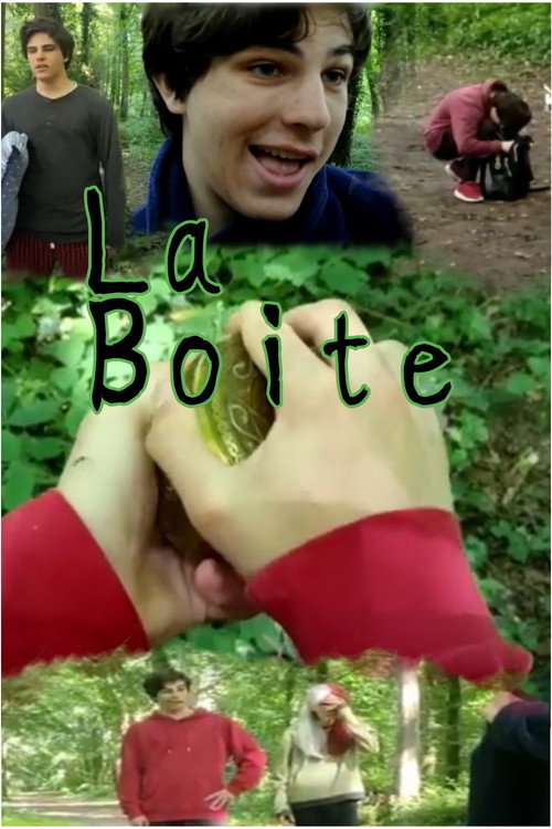 Movie poster for La Boite