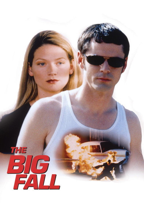 Movie poster for The Big Fall (1997)