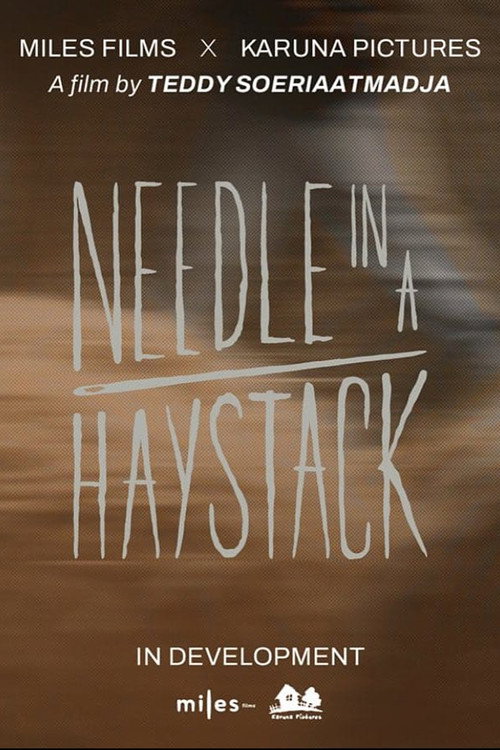 Movie poster for Needle In A Haystack