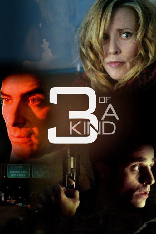Movie poster for 3 of a Kind (2012)