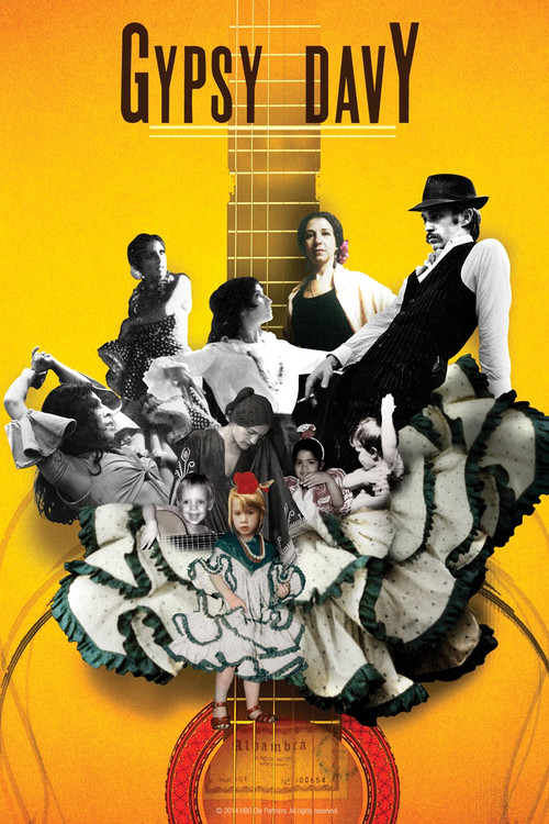 Movie poster for Gypsy Davy (2011)
