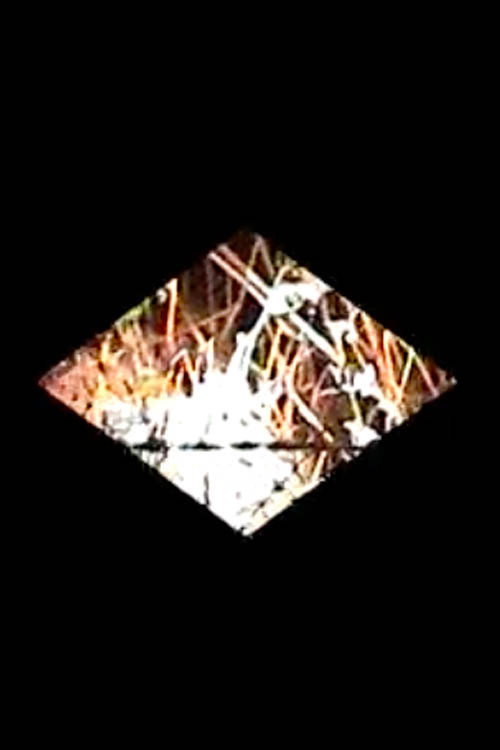Movie poster for Diamondback (2008)