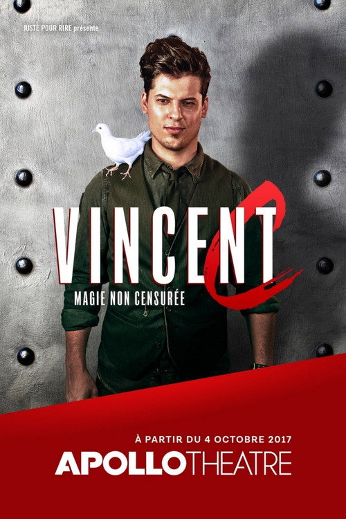 Movie poster for Les paris de Vincent C (2017)