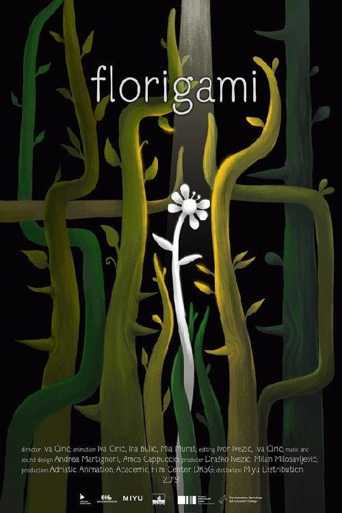 Movie poster for Florigami (2019)