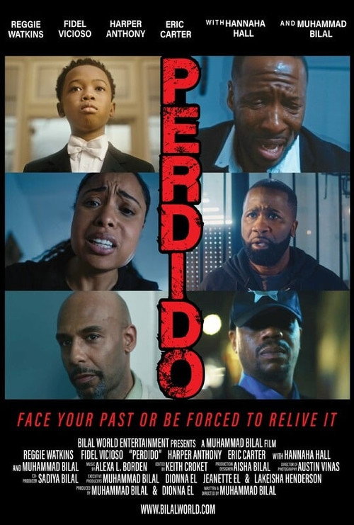 Movie poster for Perdido