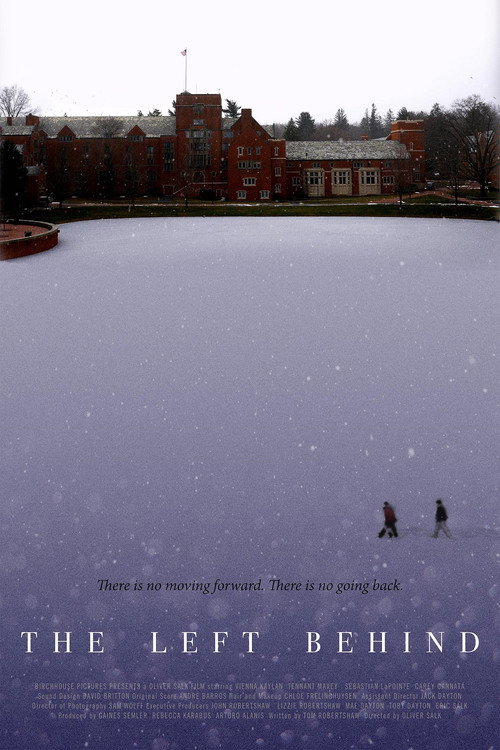 Movie poster for The Left Behind (2016)