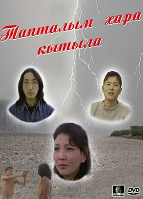 Movie poster for My Love is Black (2003)