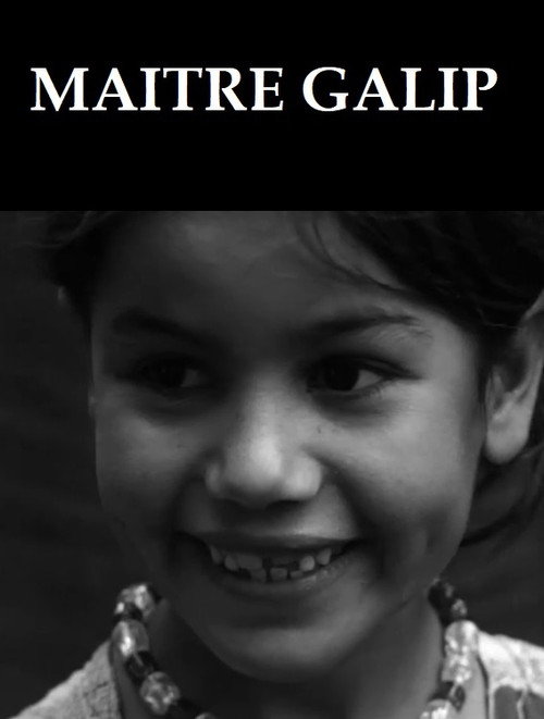 Movie poster for Maître Galip (1964)