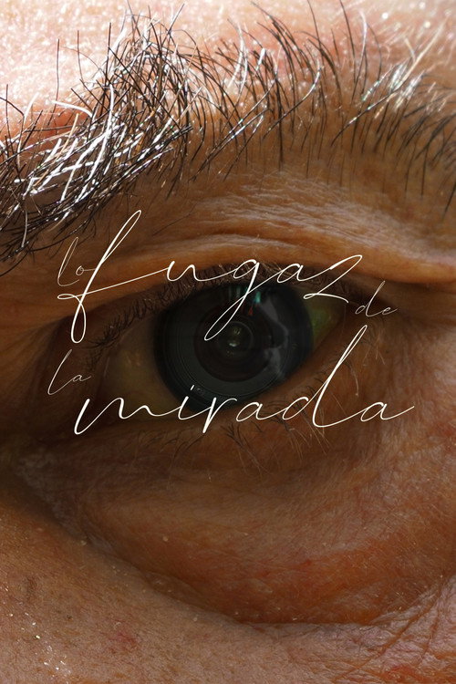 Movie poster for Lo Fugaz de la Mirada (2024)