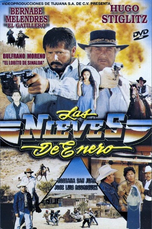 Movie poster for Las Nieves de Enero (1995)