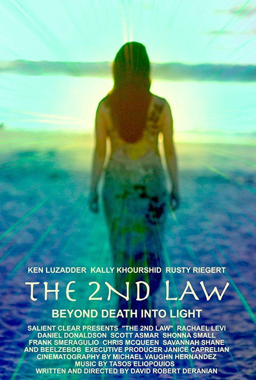 Movie poster for The 2nd Law (2016)