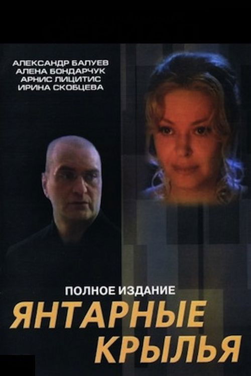 Movie poster for Amber Wings (2003)