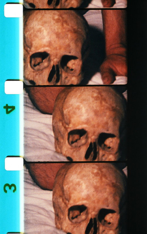Movie poster for Teo (1978)