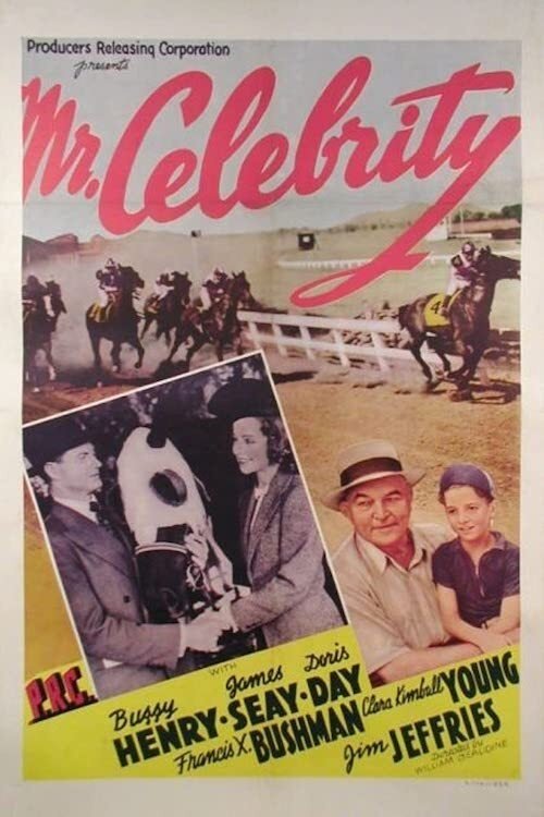 Movie poster for Mr. Celebrity (1941)