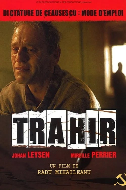 Movie poster for Betrayal (1993)
