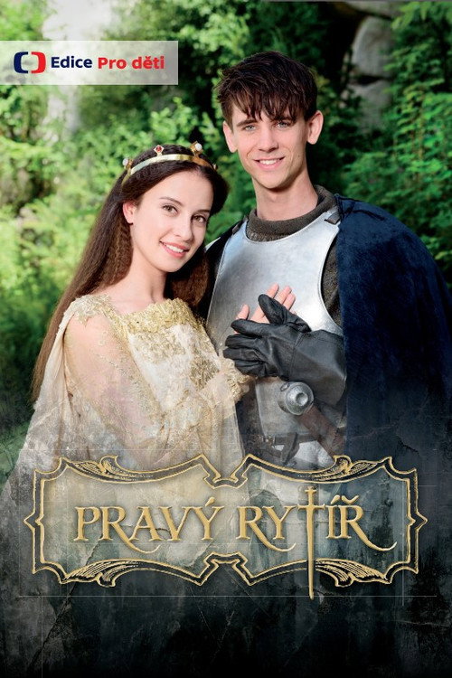 Movie poster for Pravý rytíř (2016)