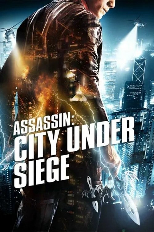 Movie poster for City Under Siege (2010)