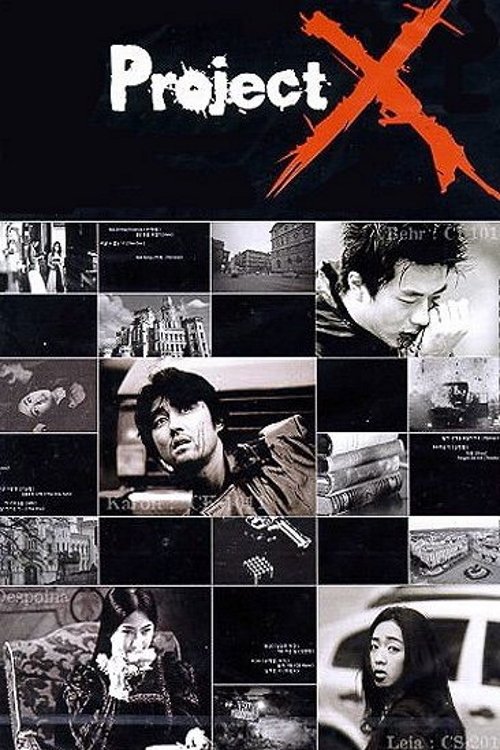 Movie poster for Project X (2003)