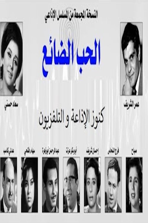 الحب الضائع poster
