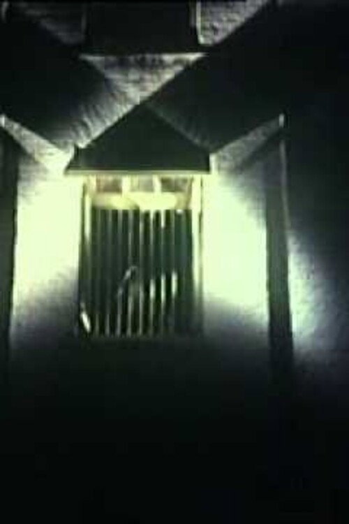 Movie poster for Joyce (1980)