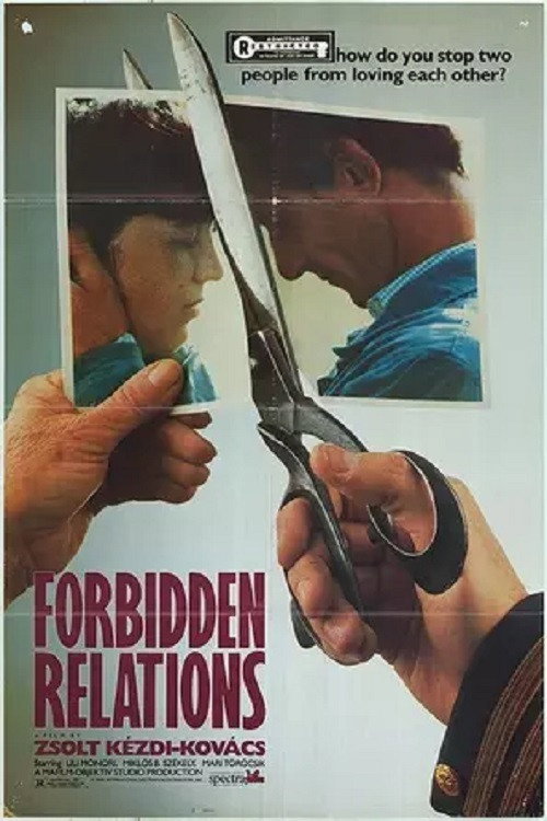 Movie poster for Forbidden Relations (1983)