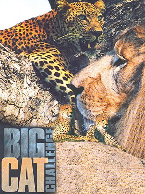 Movie poster for Big Cat Challenge (2003)