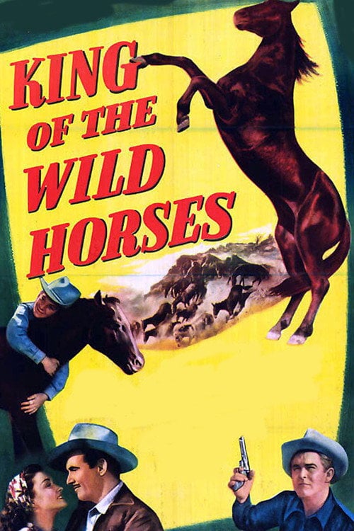 Movie poster for King of the Wild Horses (1947)