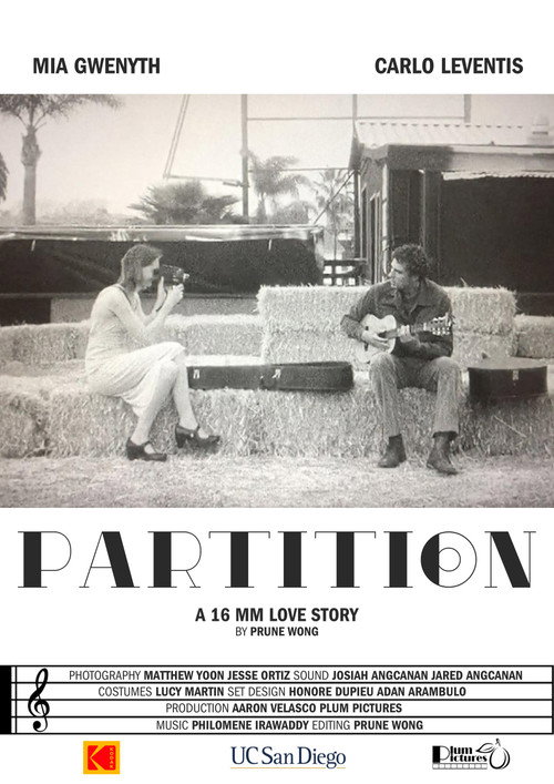 Movie poster for PARTITION