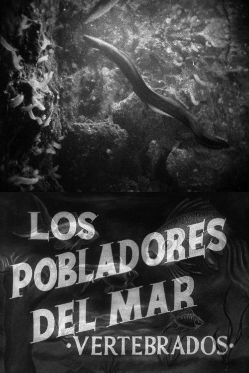 Movie poster for Pobladores del mar: Los vertebrados (1947)